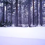 Aurora - Loft-sauna-wifi * Rovaniemi