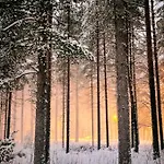 Daire Aurora - Loft-sauna-wifi
