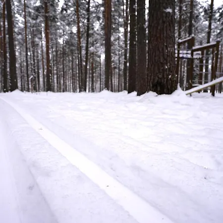 Aurora - Loft-sauna-wifi Apartamento