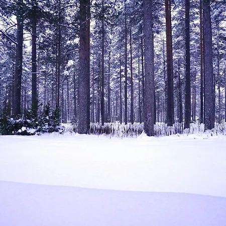 Aurora - Loft-sauna-wifi * Ροβανιέμι