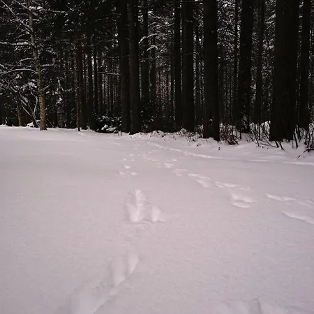 Aurora - Loft-sauna-wifi Διαμέρισμα Ροβανιέμι