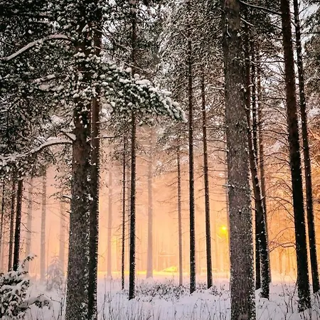 公寓 Aurora - Loft-sauna-wifi