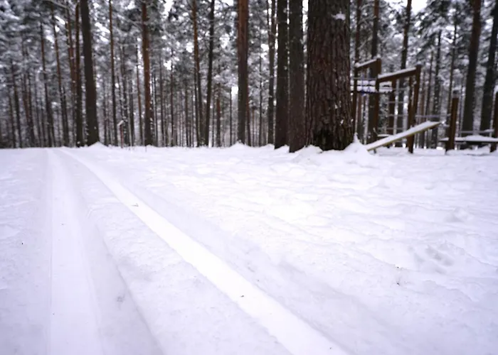 Aurora - Loft-sauna-wifi アパート