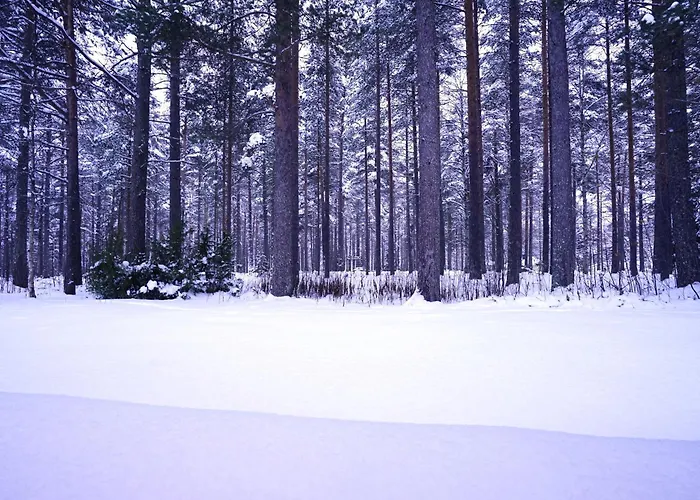 Aurora - Loft-sauna-wifi * ロヴァニエミ