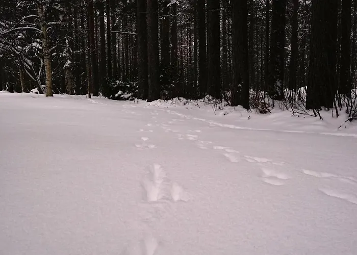 Aurora - Loft-sauna-wifi アパート ロヴァニエミ