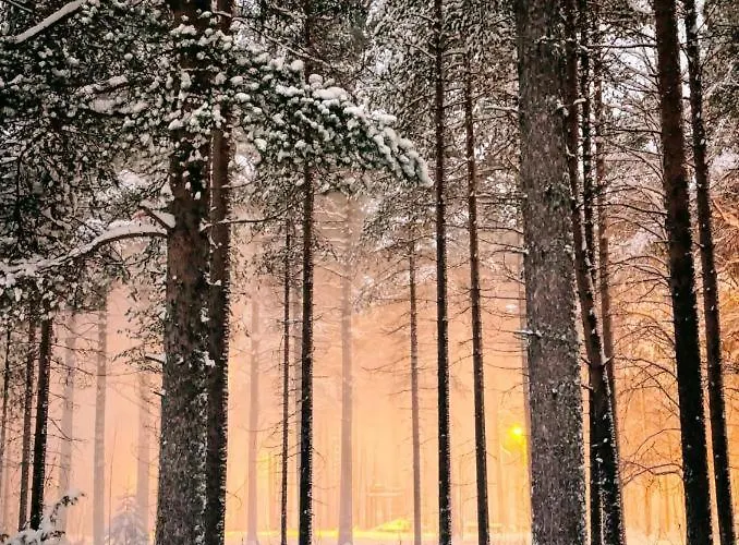 アパート Aurora - Loft-sauna-wifi